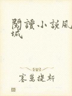 阅读小说风起龙城