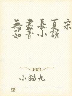 无尽长夏宋洵沈茹菁小说封面