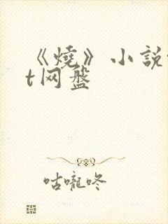 《烧》小说txt网盘