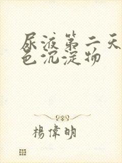 尿液第二天有白色沉淀物