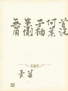 无患子何首乌皂角侧柏叶洗头能黑吗