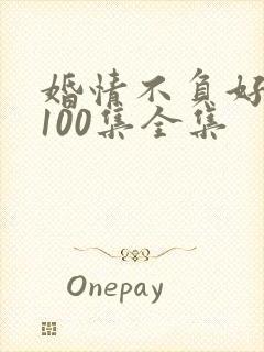 婚情不负好时光100集全集