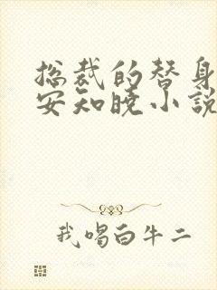 总裁的替身前妻安知晓小说