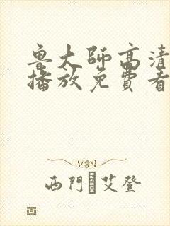 鲁大师高清在线播放免费看封面