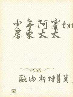 少年阿宾txt房东太太