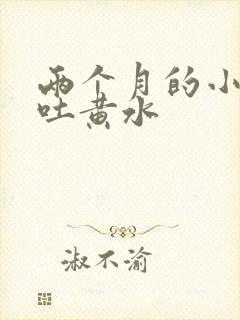 两个月的小猫咪吐黄水封面