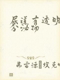 尿道有透明液体分泌物