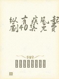 纵有疾风起电视剧40集免费观看