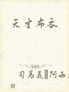 天才布衣封面