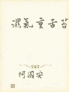 湿气重舌苔黄厚