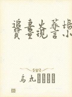 追妻火葬场的高质量现言小说