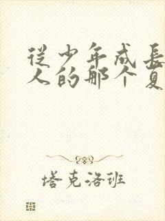 从少年成长为大人的那个夏天在线观看封面