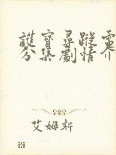 护宝寻踪电视剧分集剧情介绍