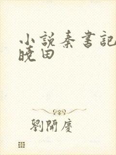 小说秦书记白芸晓田封面