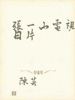 张一山电视剧抗日片