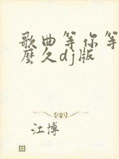 歌曲等你等了那么久dj版
