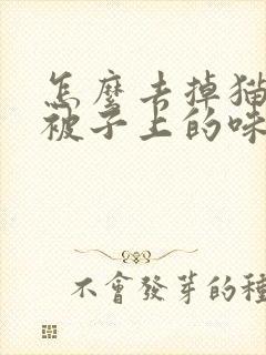 怎么去掉猫尿在被子上的味道