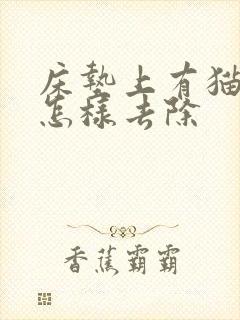 床垫上有猫尿味怎样去除