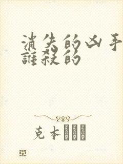 消失的凶手闫波谁杀的