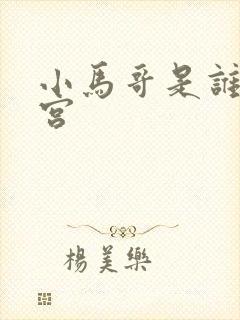 小马哥是谁雪迷宫封面