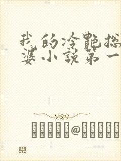 我的冷艳总裁老婆小说第一部封面