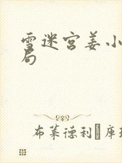 雪迷宫姜小海结局封面