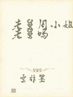 老舅周小姐喜欢老舅吗封面