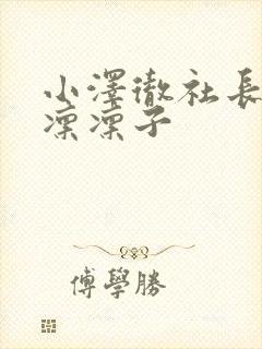 小泽彻社长木下凛凛子