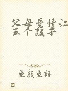 父母爱情江德福五个孩子封面