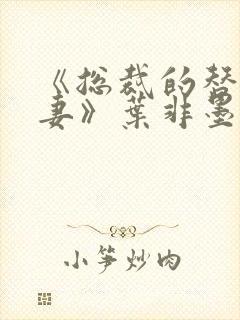 《总裁的替身前妻》叶非墨