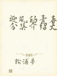 迎风的青春剧情分集介绍大结局