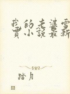 我的老婆雪儿老贾小说最新章节更新