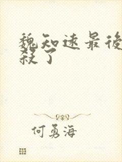 魏知远最后被谁杀了封面