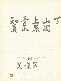 知青上山下乡的真正原因封面