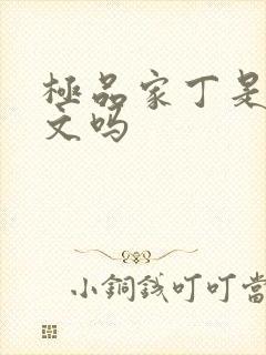 极品家丁是后宫文吗