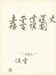 妻子偿还丈夫债务电视剧