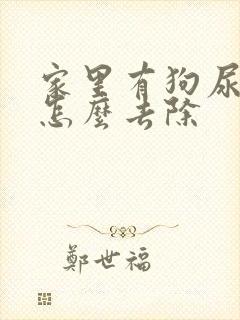 家里有狗尿味道怎么去除