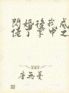 闪婚后我成了大佬了掌中之物封面