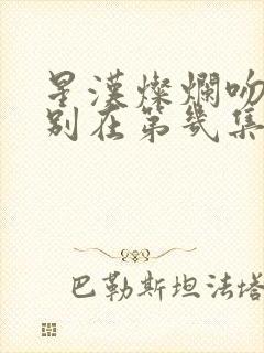 星汉灿烂吻戏分别在第几集