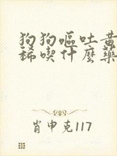 狗狗呕吐黄水拉稀吃什么药好得快