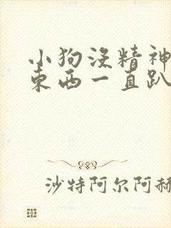 小狗没精神不吃东西一直趴着