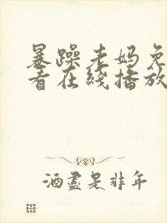 暴躁老妈免费观看在线播放电视剧全