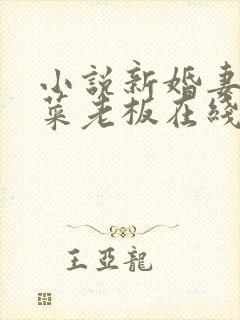 小说新婚妻子与菜老板在线阅读小说