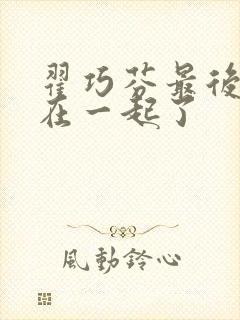 翟巧芬最后和谁在一起了