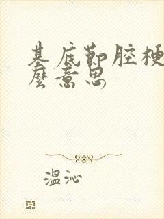 基底节腔梗是什么意思封面