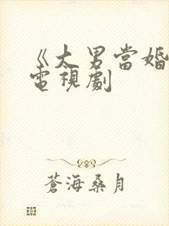 《大男当婚2》电视剧封面