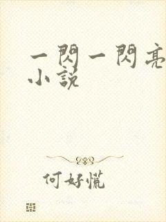 一闪一闪亮星星小说