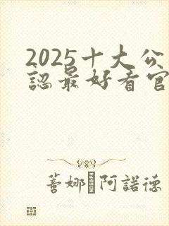 2025十大公认最好看官场小说