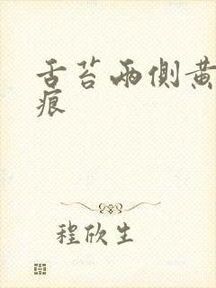 舌苔两侧黄有齿痕