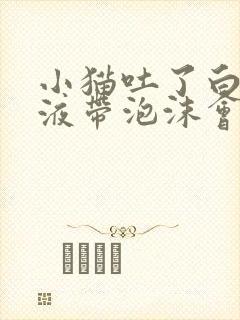小猫吐了白色粘液带泡沫会死吗
